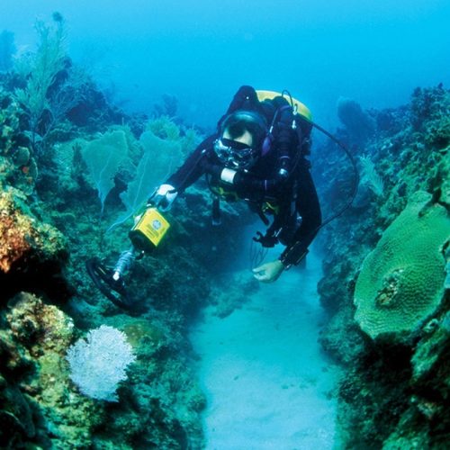 Garrett Sea Hunter Mark II